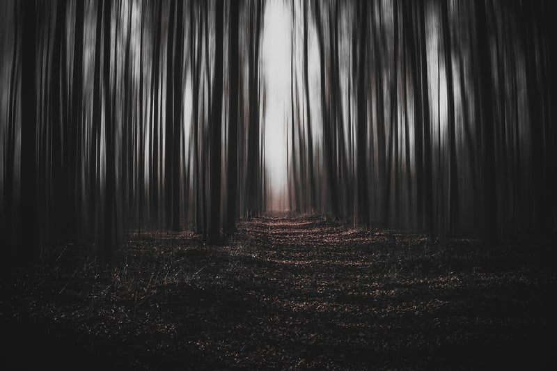 Surreal Universe